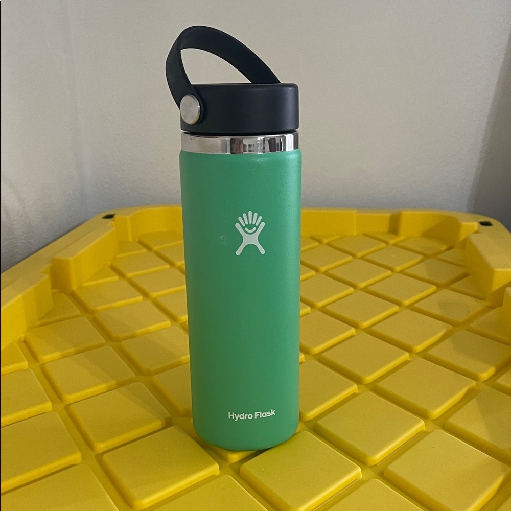 Hydro Flask Mint Green Bottle with Black Lid